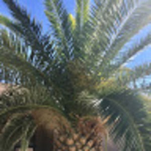 Meet your Posher, Helena